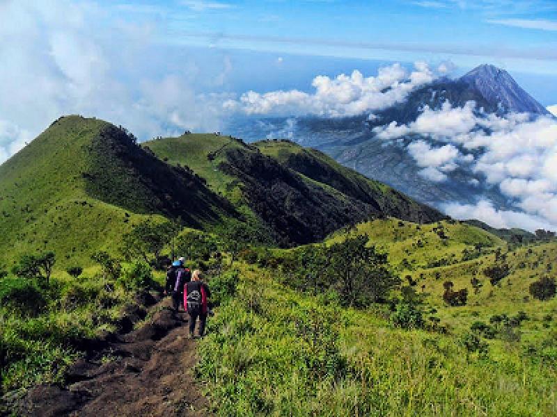 One Day Private Mount Andong Soft Trekking Tour Via Sawit Magelang Combine Borobudur Temple