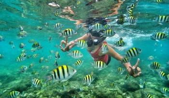 Pantai Nglambor Tempat Asyik Buat Snorkling Di Jogjakarta